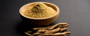 Notoginseng extract